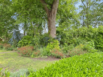Picture 11